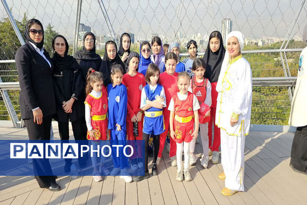 همایش بزرگ ووشو به‌مناسبت هفته تربیت‌بدنی در تهران