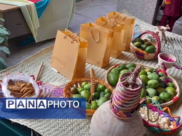 بازدید مدرس کشوری از فعالیت‌های سازمان دانش‌آموزی شهرستان میناب 