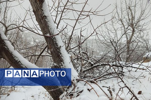 یک قدم مانده به زمستان طبیعت شهر بار کاملاً زمستانی شد