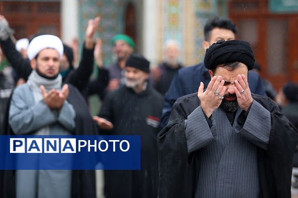 مراسم عزاداری سالروز شهادت امام هادی(ع) در حرم حضرت معصومه(س)