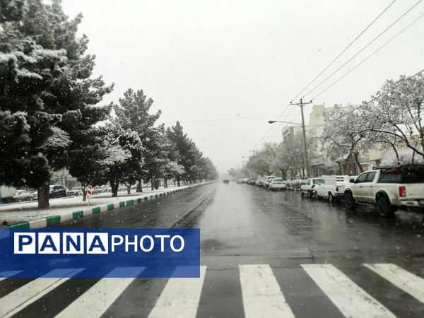 بارش برف و سفید پوش شدن شهر زیبای مشهد