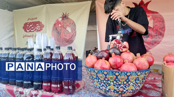 یاقوت سرخ اراک در جشنواره انار به نمایش درآمد