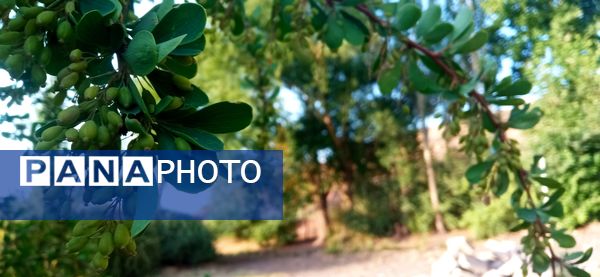 مزار گردشگری کلاته بایزید، گوهر پنهان طبیعت در دل کوهستان 