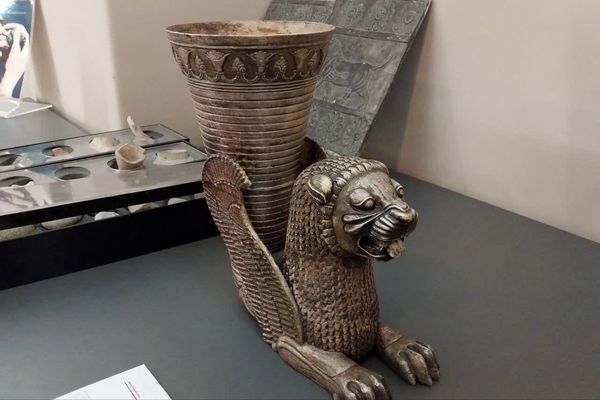 موزه ‌ها؛ میراث‌بانان میراث ملموس جامعه بشری