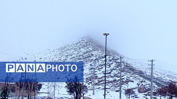 گرداب بن زیر چتر سپید برف