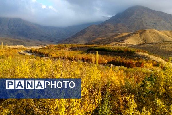 تصاویر زیبا از پاییز رنگارنگ در شهر دار السادات بار نیشابور 