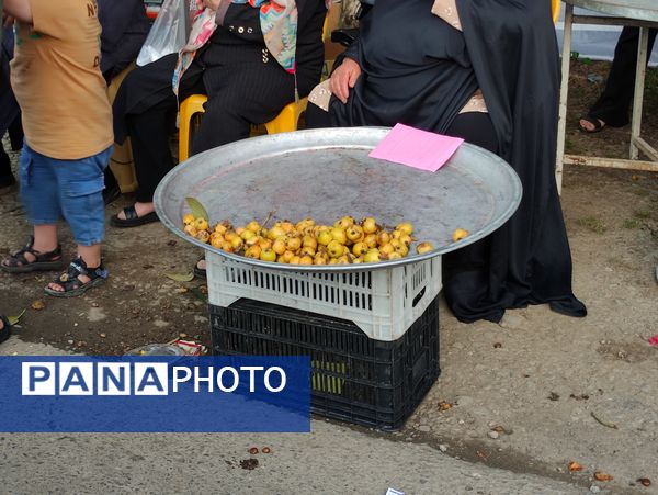 چهارمین جشنواره آلوچه در شهرستان صومعه‌سرا