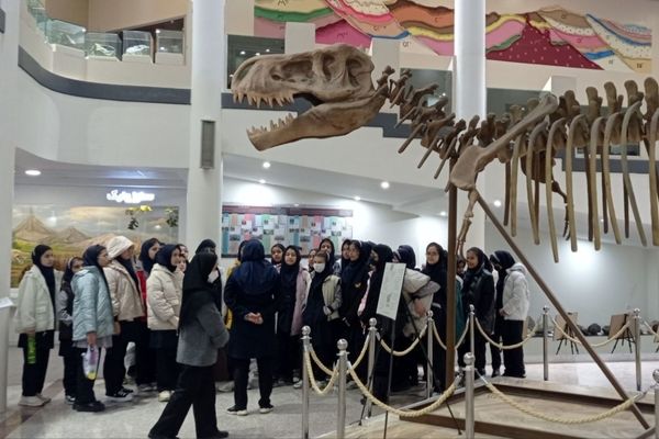 بازدید مدرسه ساره از پارک موزه علوم زمین