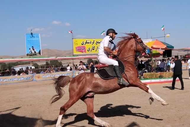 مراسم شوسواره کشوری ارسباران در اهر