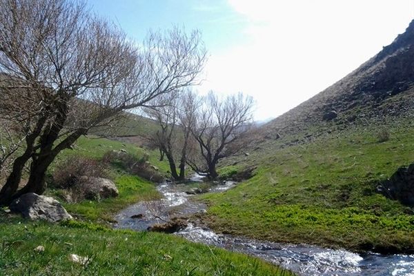 شهرستان بوانات، نگین سبز فارس/ فیلم