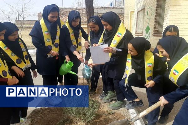 کاشت نهال به مناسبت روز درخت کاری دردبیرستان شهید مجید دهنوی 