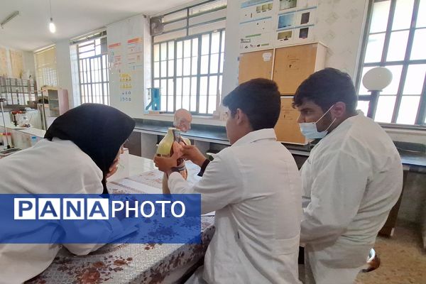 جشنواره خوارزمی فرصتی برای کشف استعدادهای دانش‌آموزان 