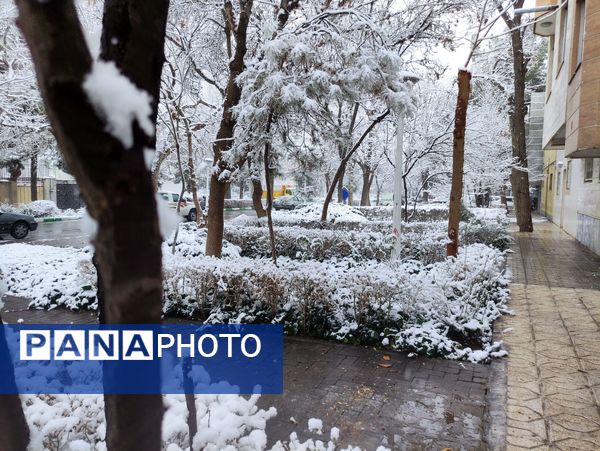 بارش برف و سفید پوش شدن شهر زیبای مشهد