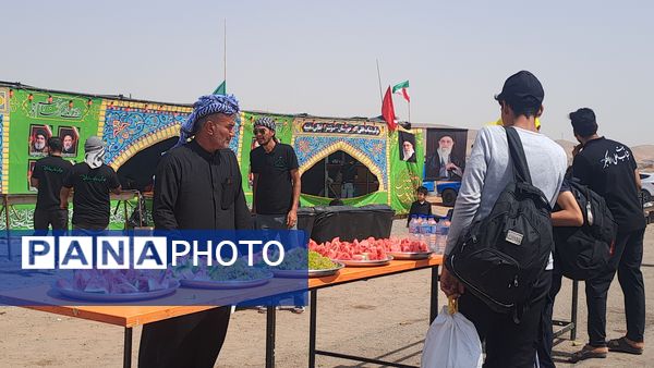 گام هایی از جنس عشق به امام رضا (ع)