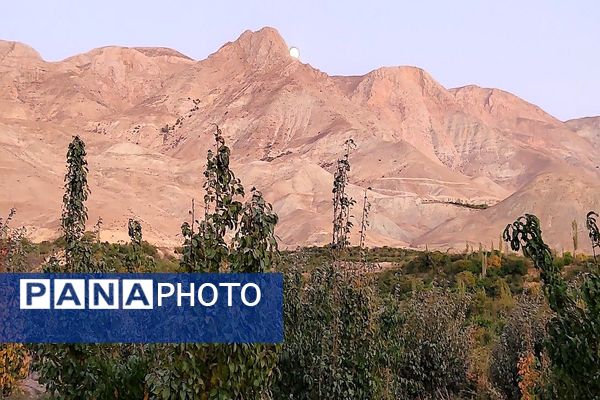 تصاویر زیبا از پاییز رنگارنگ در شهر دار السادات بار نیشابور 