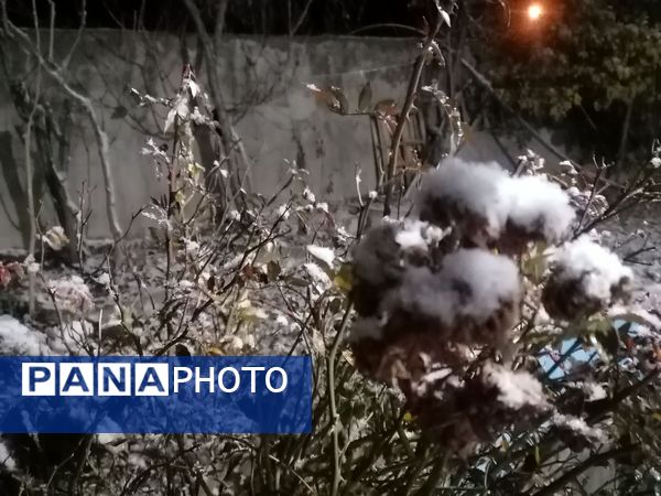 بارش برف پاییزی در شهرزیبای بار نیشابور 