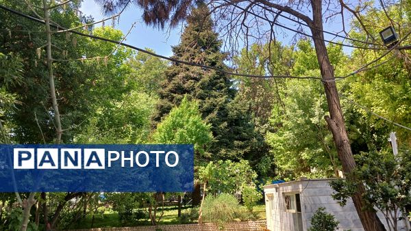 بازدید دانش‌آموزان مدرسه ایران از فضای سبز شهرداری ملارد به مناسبت روز زمین پاک