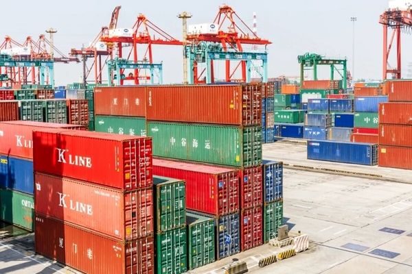 واردات چای مشمول ترخیص ۱۰۰ درصدی از گمرکات شد