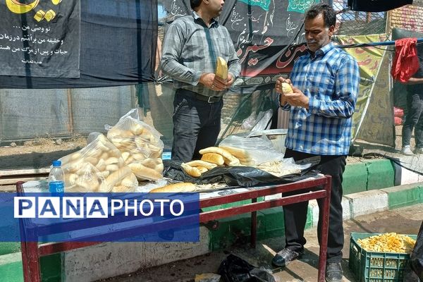 حضور زائران پیاده در جاده غدیر مشهد به نیشابور