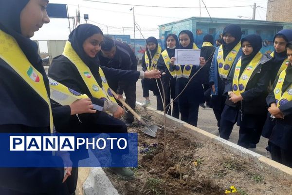 کاشت نهال به مناسبت روز درخت کاری دردبیرستان شهید مجید دهنوی 