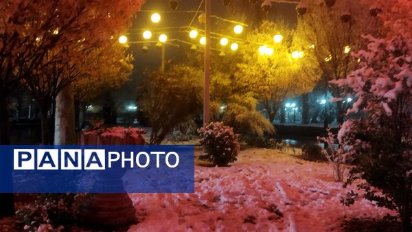 شبی برفی در نیشابور 