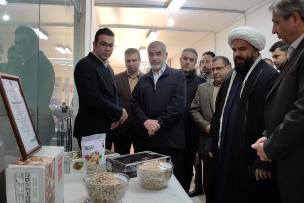 بازدید نائب رئیس مجلس شورای اسلامی از نمایشگاه تولیدات و محصولات صنعتی و صنایع دستی شهرستان کاشمر