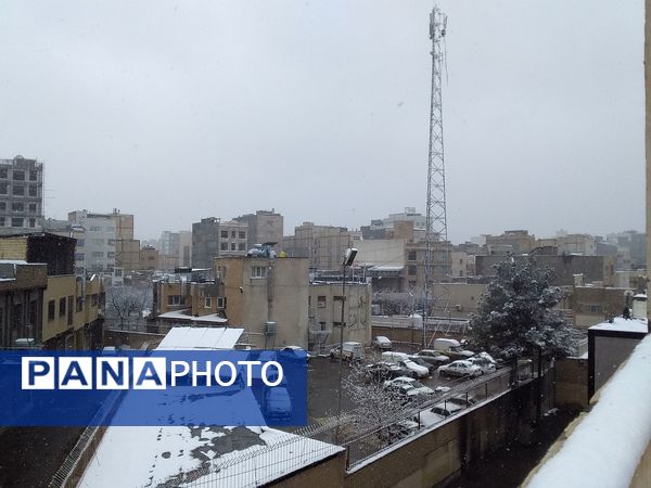 بارش برف و سفید پوش شدن شهر زیبای مشهد