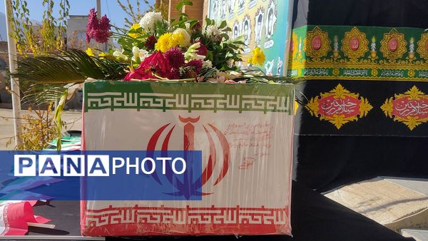 پرستو بی‌نام  در آشیانه شهر دستنا 