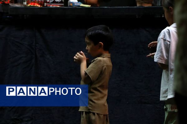 روایت پانا از برپایی موکب‌های حسینی در کاشمر