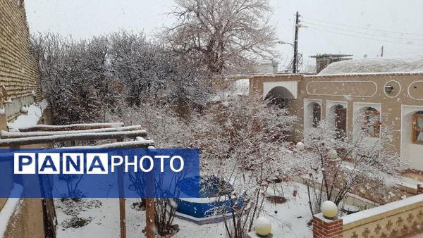 سپیدی رحمت بر جرقویه علیا