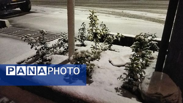 اواخر پاییز و سفید پوش شدن شهر