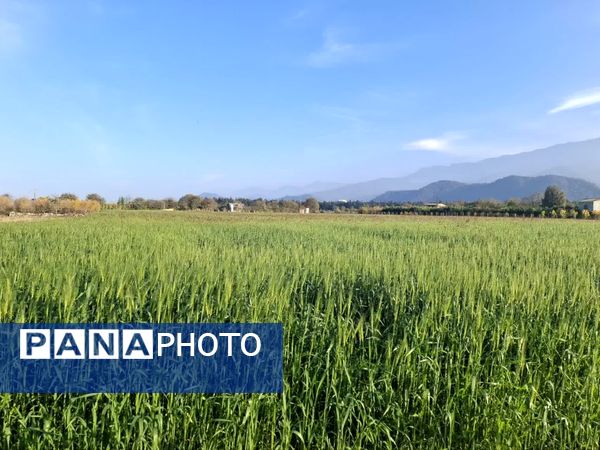 جنگل‌های هیرکانی کردکوی