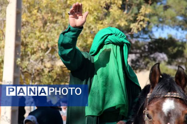 پیاده‌روی رضوی و رونمایی از کتاب «مشهدگ» در سالروز ورود امام رضا(ع) به خرانق اردکان