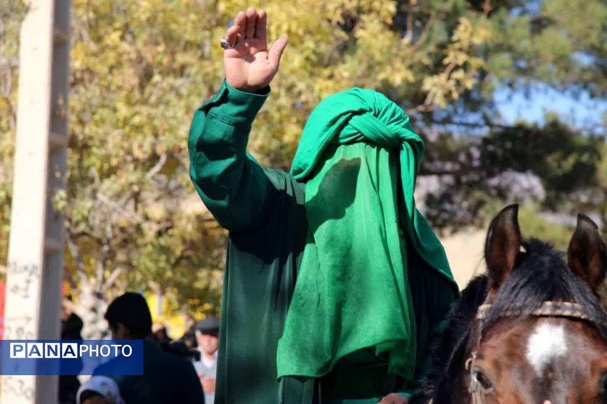 پیاده‌روی رضوی و رونمایی از کتاب «مشهدگ» در سالروز ورود امام رضا(ع) به خرانق اردکان