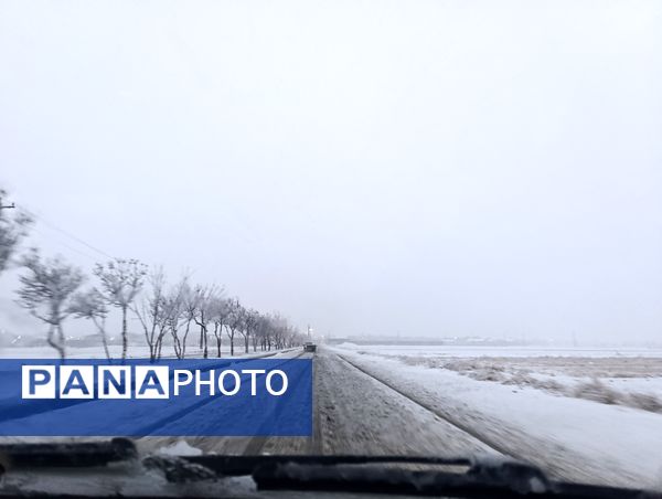 بارش برف و باران در بروجن