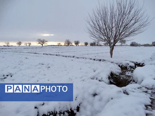 سپیدی رحمت بر جرقویه علیا