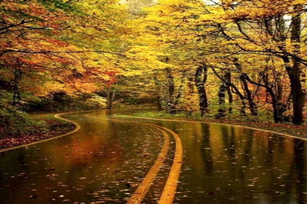 پاییزِ بارانی؛ روزی که همدان نفس تازه کرد