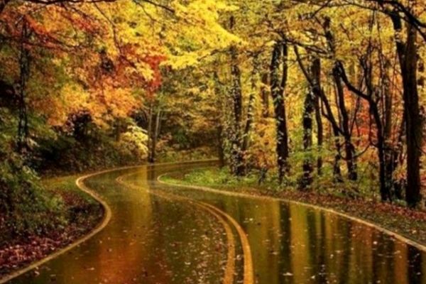 پاییزِ بارانی؛ روزی که همدان نفس تازه کرد