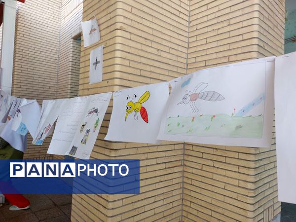 پشه آئدس سوژه نقاشی دانش‌آموزان شد