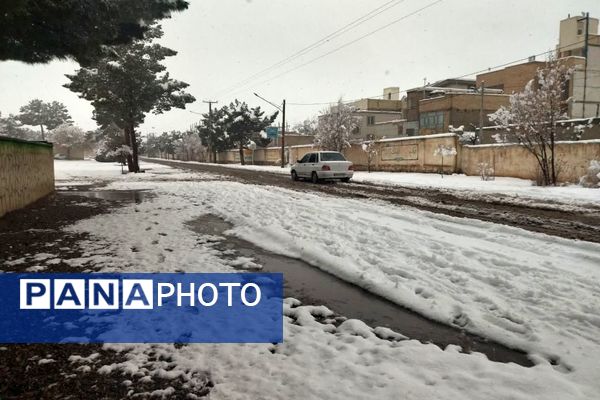 بارش برف در شهرستان تربت جام