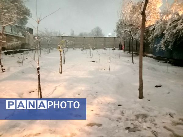 بارش برف در مشهد