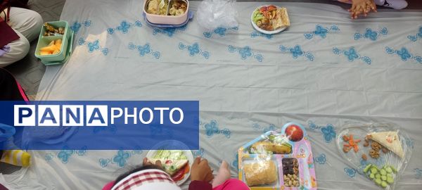 برگزاری صبحانه سلامت در مدارس فین