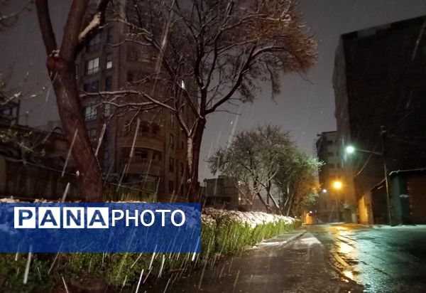 شبی برفی در نیشابور 