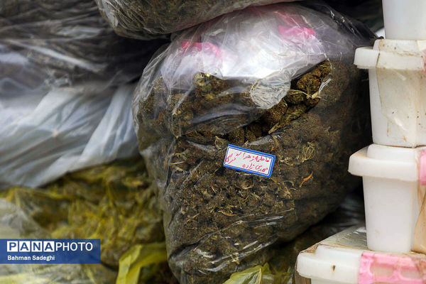 امحای ۲۰ تن مواد مخدر