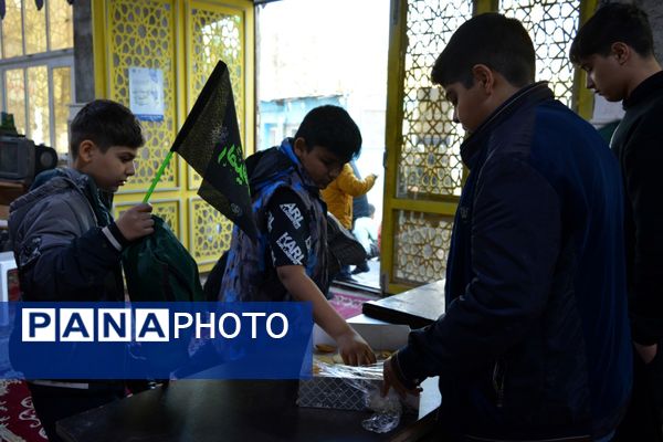 نوگلان فاطمی بهارستانی