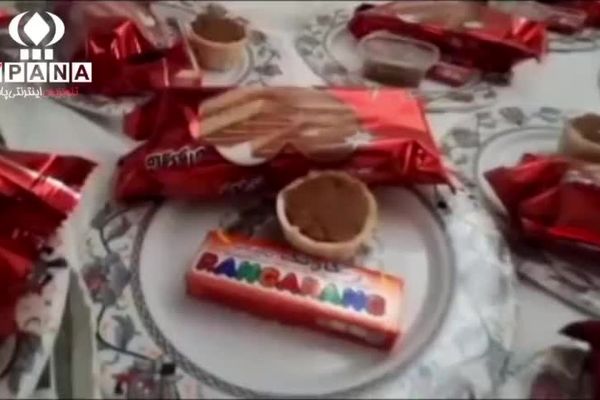 در دنیای پر هیاهوی امروز، گاهی آرامش و امیدمان را در دل‌های دریایی پیدا می‌کنیم 