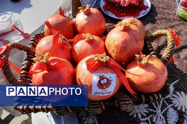 جشنواره انار در دبیرستان حجاب ورامین