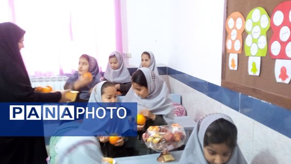 یلدای مهربانی با طعم پرتقال در دبستان شهید نجفی فدافن