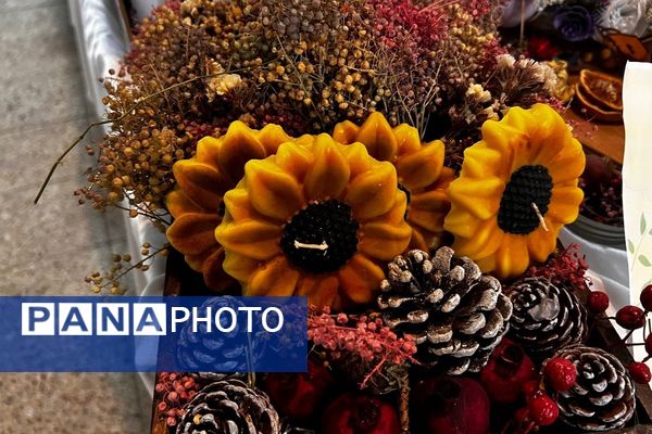 پایان کار نمایشگاه گیاهان دارویی پژوهش‌سرای کاوش کهریزک 