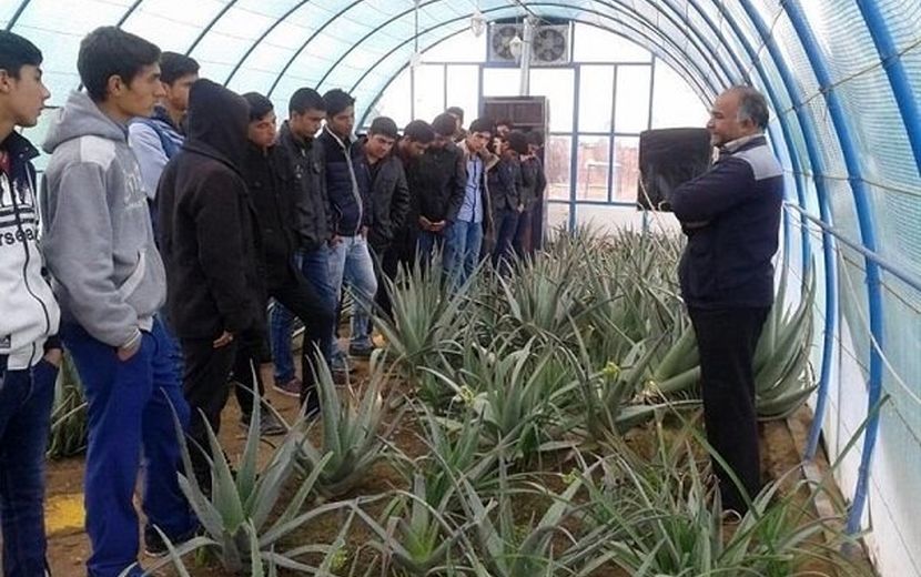 ضرورت نوسازی تجهیزات هنرستان‌های کشاورزی